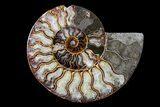 Bargain, Cut & Polished Ammonite Fossil (Half) - Madagascar #158335-1